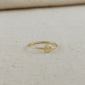 Gold Filled 18k Slim Flat Disc Ring